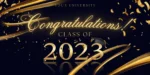Congratulations Banner, Personalized Graduation Sign, Graduate Celebration Banner, Full Color Custom Vinyl Banner, Graduation Party Banner - Image 2